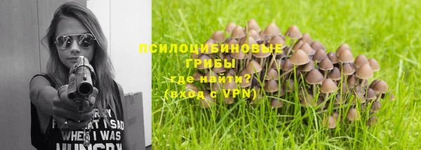 дмт Заводоуковск
