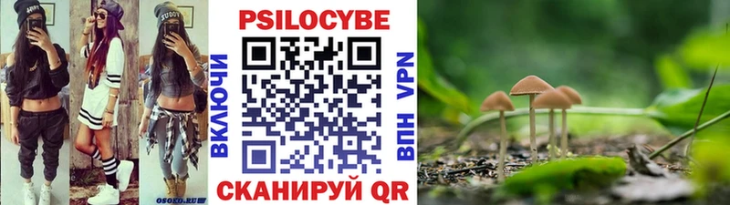 Псилоцибиновые грибы Psilocybine cubensis  Купить  Окуловка 